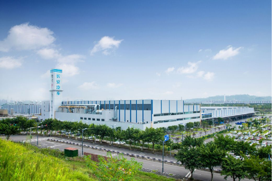 ���쳤��������������